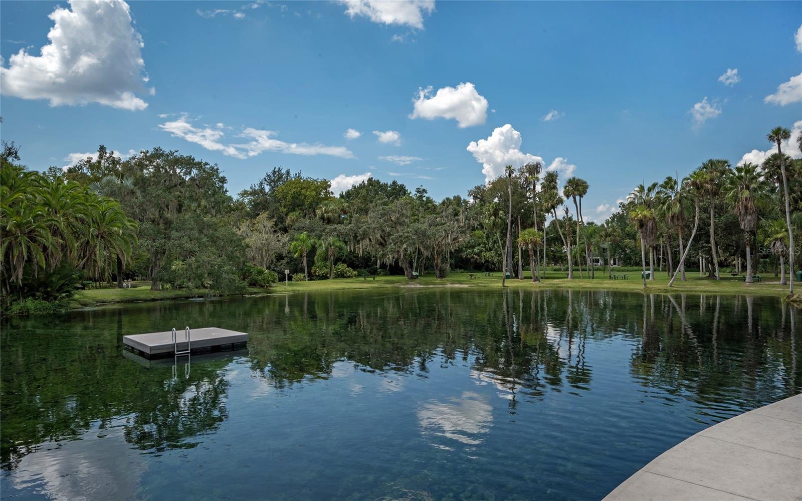 203 TOMOKA TRL #203, LONGWOOD, FL, 32779