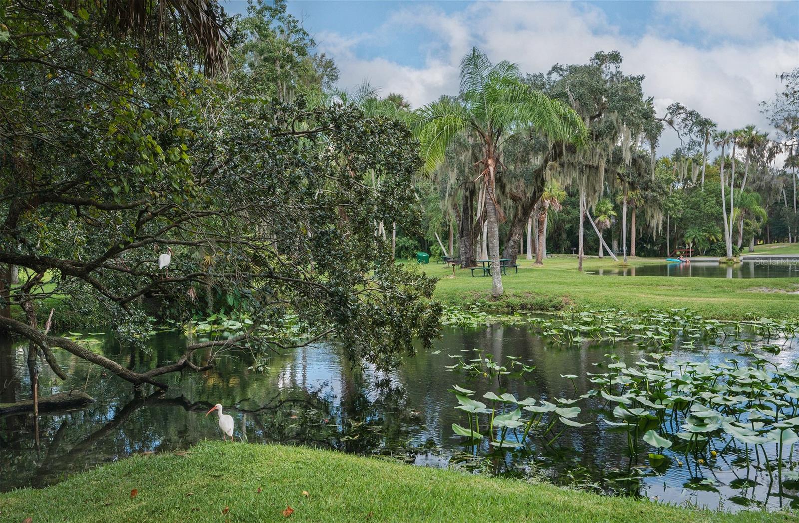 203 TOMOKA TRL #203, LONGWOOD, FL, 32779