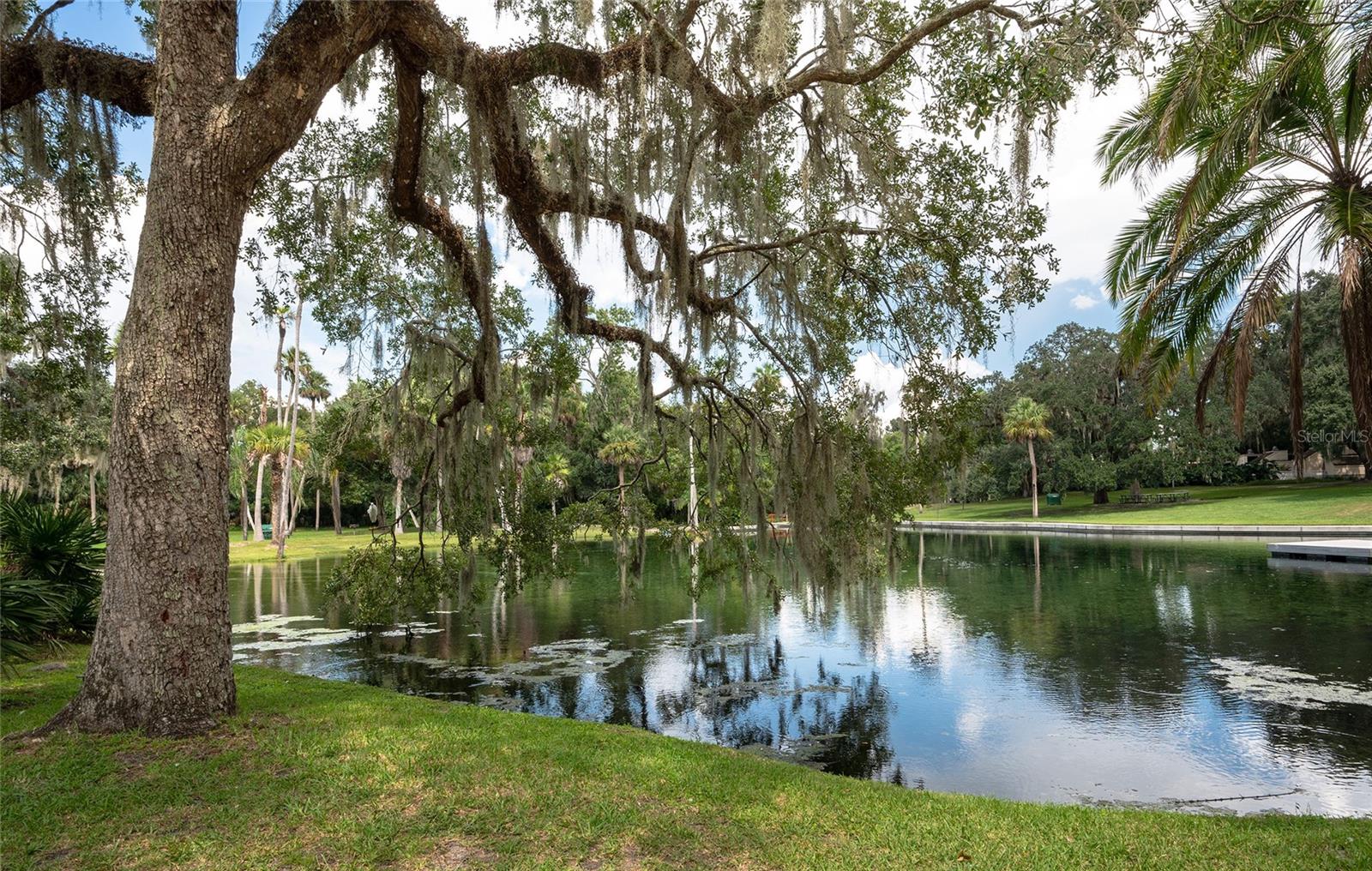 203 TOMOKA TRL #203, LONGWOOD, FL, 32779