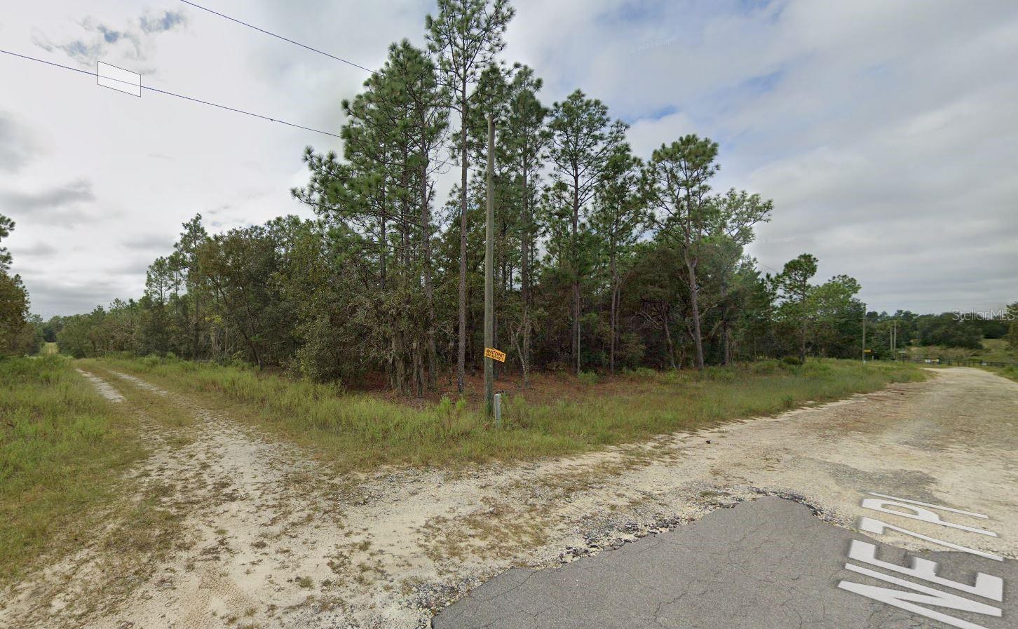 7TH PL NE, WILLISTON, FL, 32696