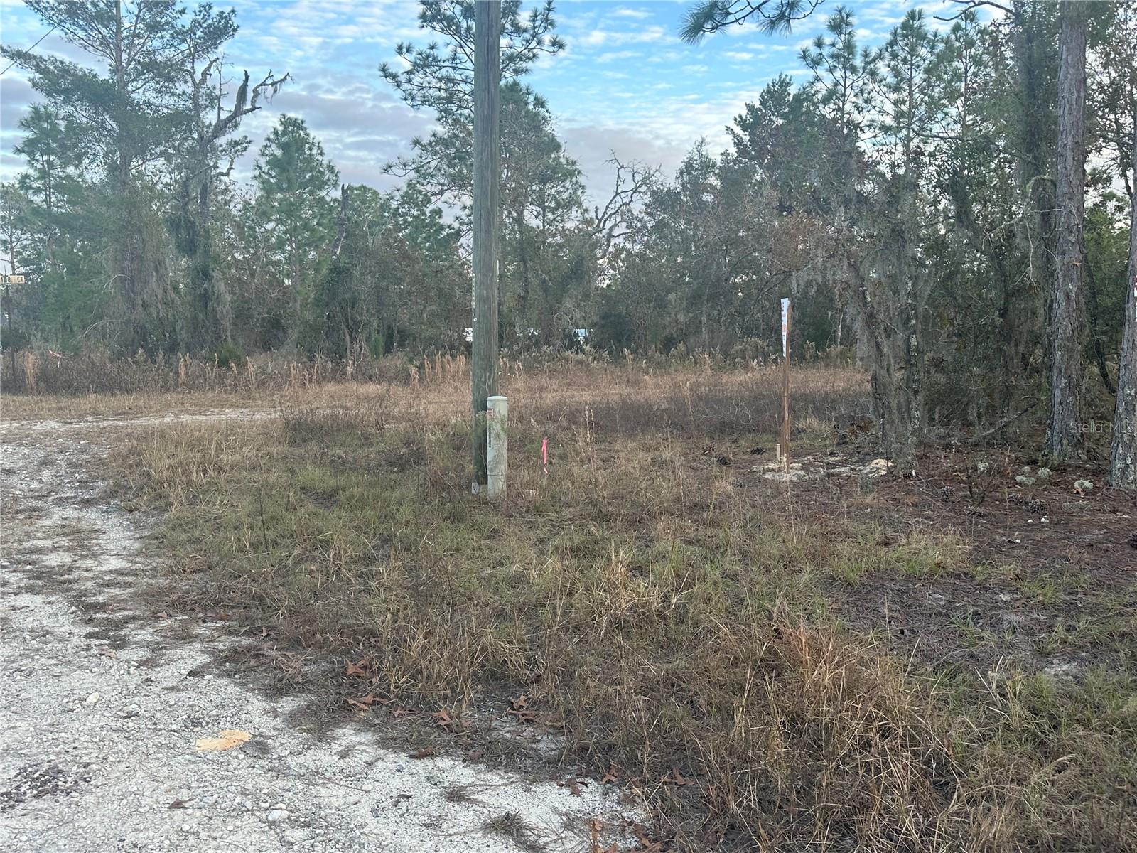 7TH PL NE, WILLISTON, FL, 32696