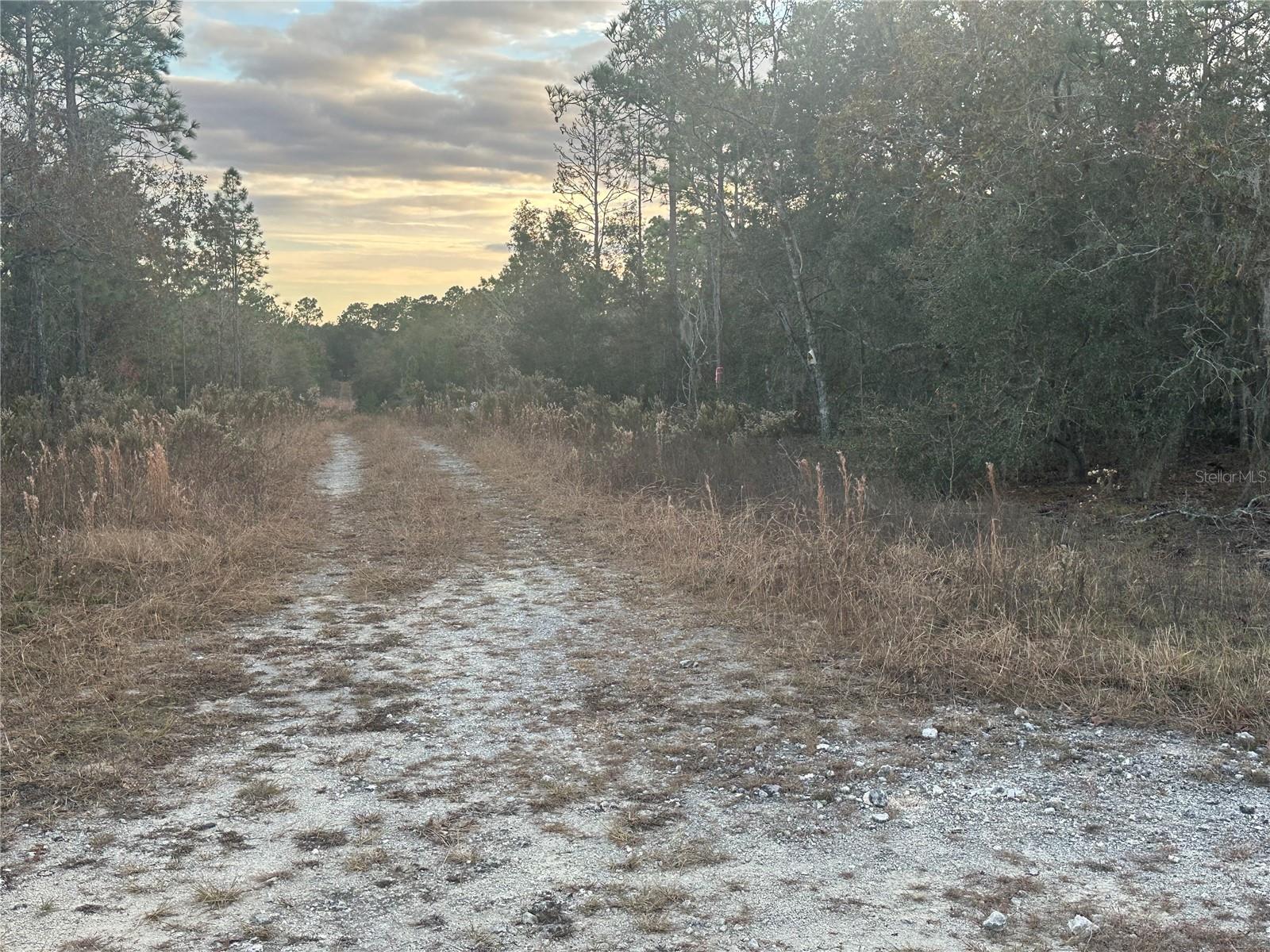 7TH PL NE, WILLISTON, FL, 32696