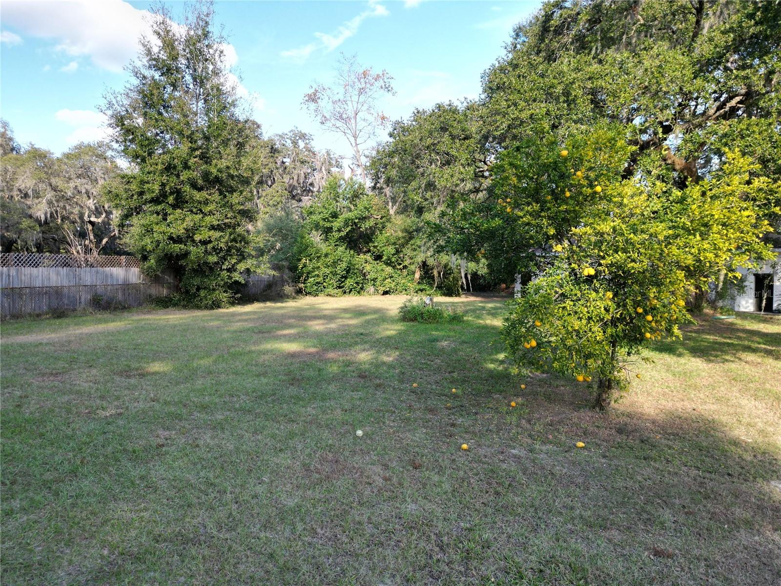 32122 HICKORY LN, SORRENTO, FL, 32776