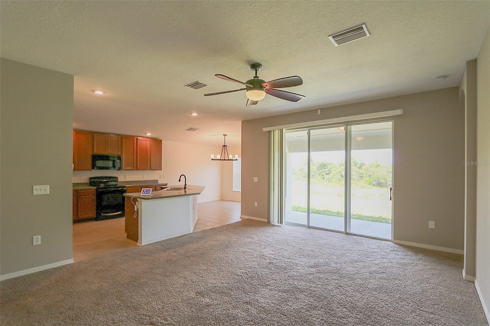 11401 FLORA SPRINGS DR, RIVERVIEW, FL, 33579