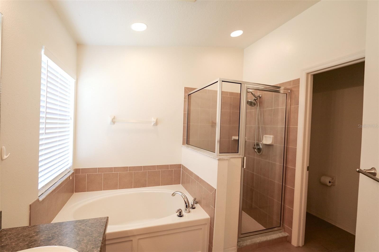 11401 FLORA SPRINGS DR, RIVERVIEW, FL, 33579