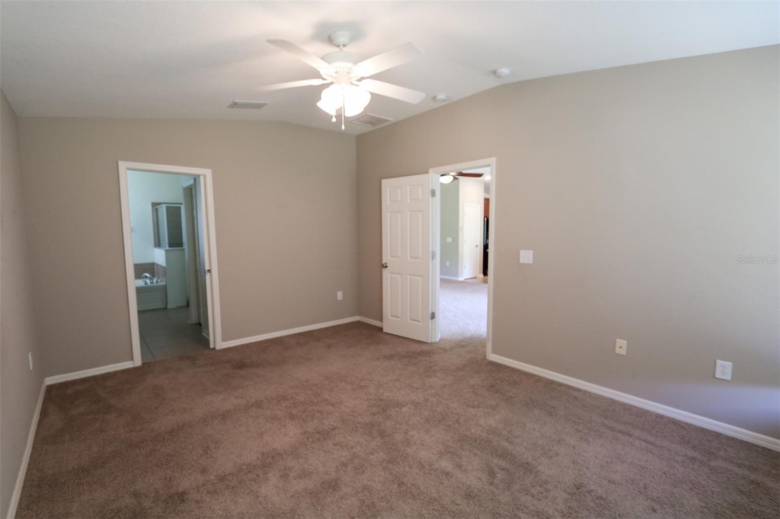 11401 FLORA SPRINGS DR, RIVERVIEW, FL, 33579