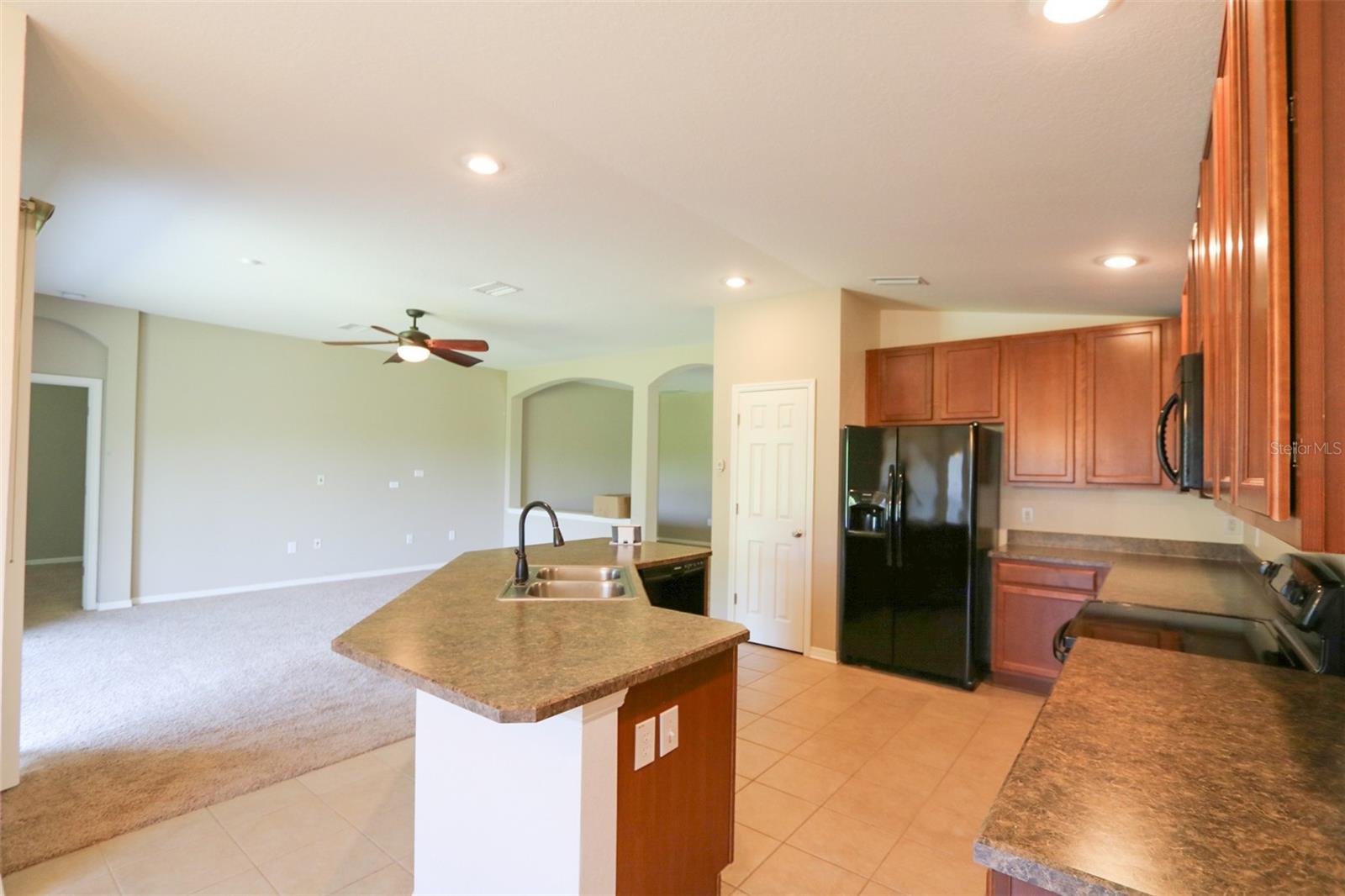 11401 FLORA SPRINGS DR, RIVERVIEW, FL, 33579