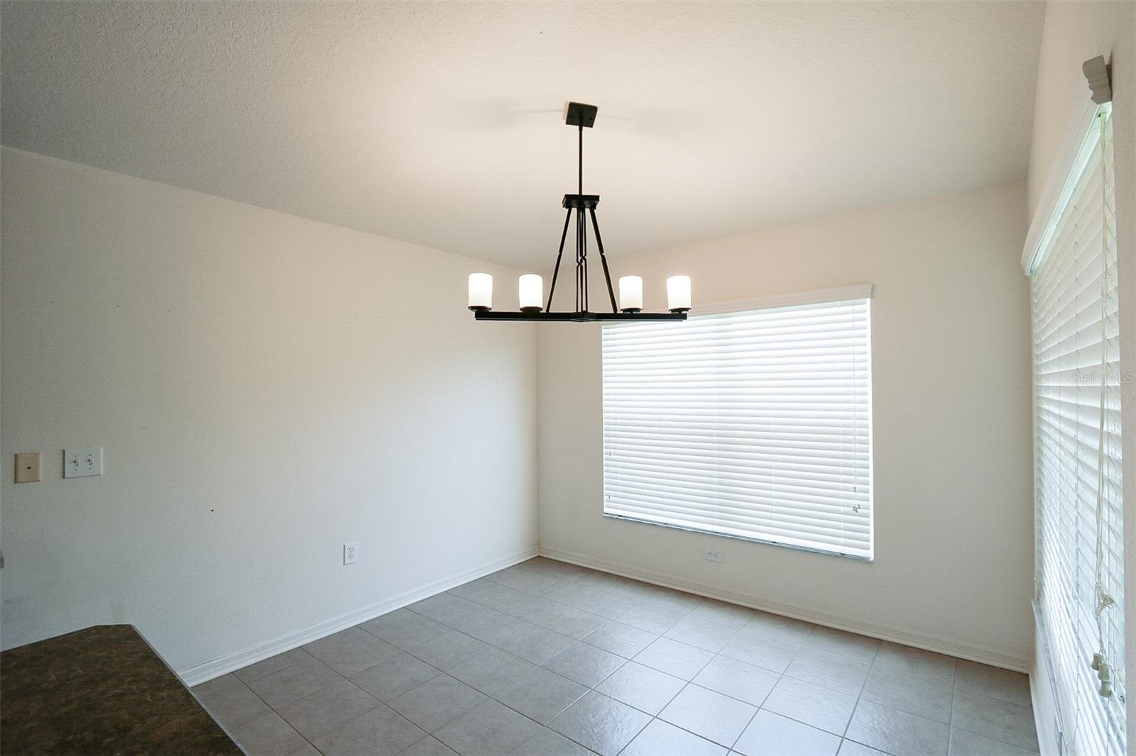 11401 FLORA SPRINGS DR, RIVERVIEW, FL, 33579