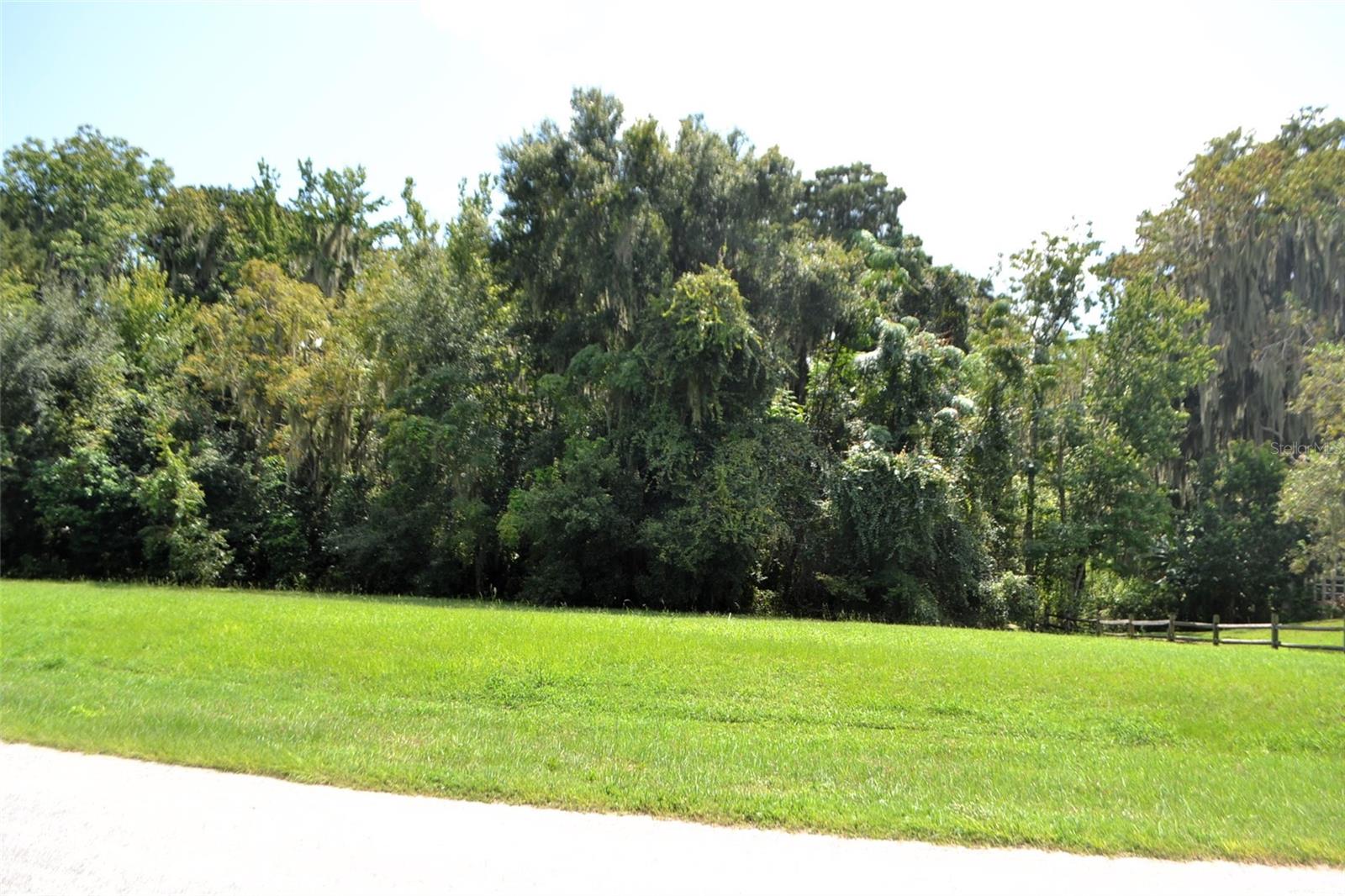 REDTREE DR, LEESBURG, FL, 34748