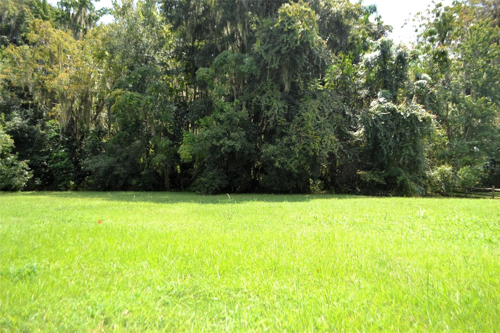 REDTREE DR, LEESBURG, FL, 34748