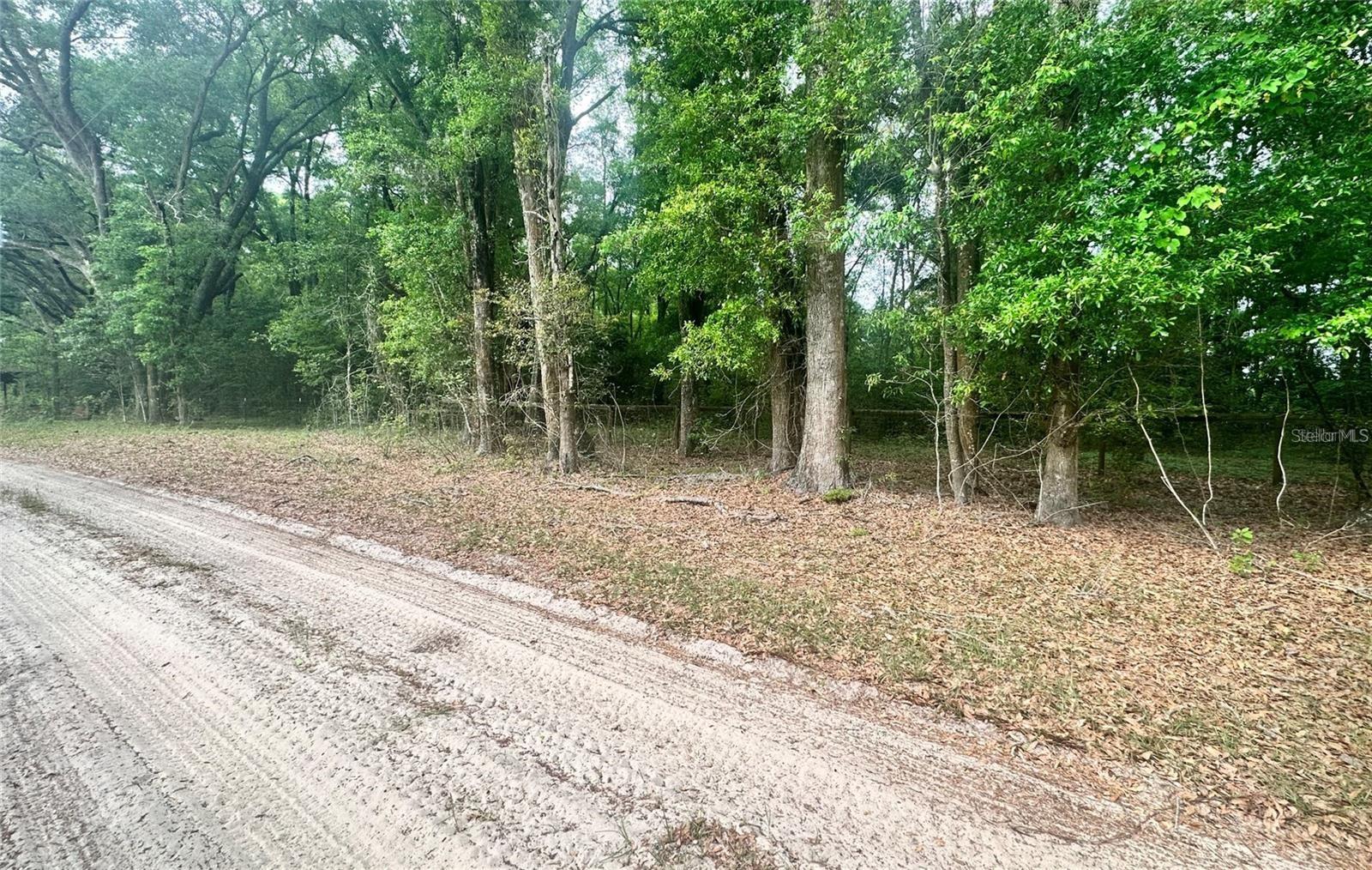 29TH PLACE RD, SILVER SPRINGS, FL, 34488