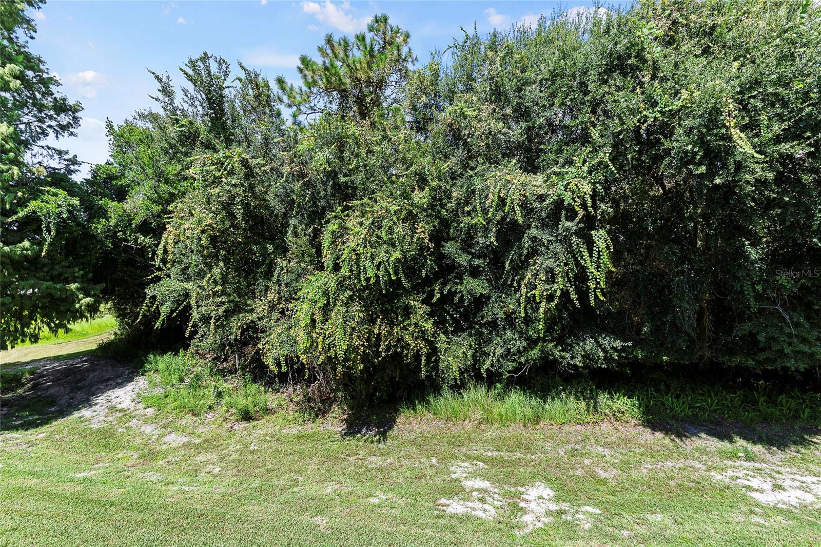 11508 WESTWOOD BLVD #328, ORLANDO, FL, 32821