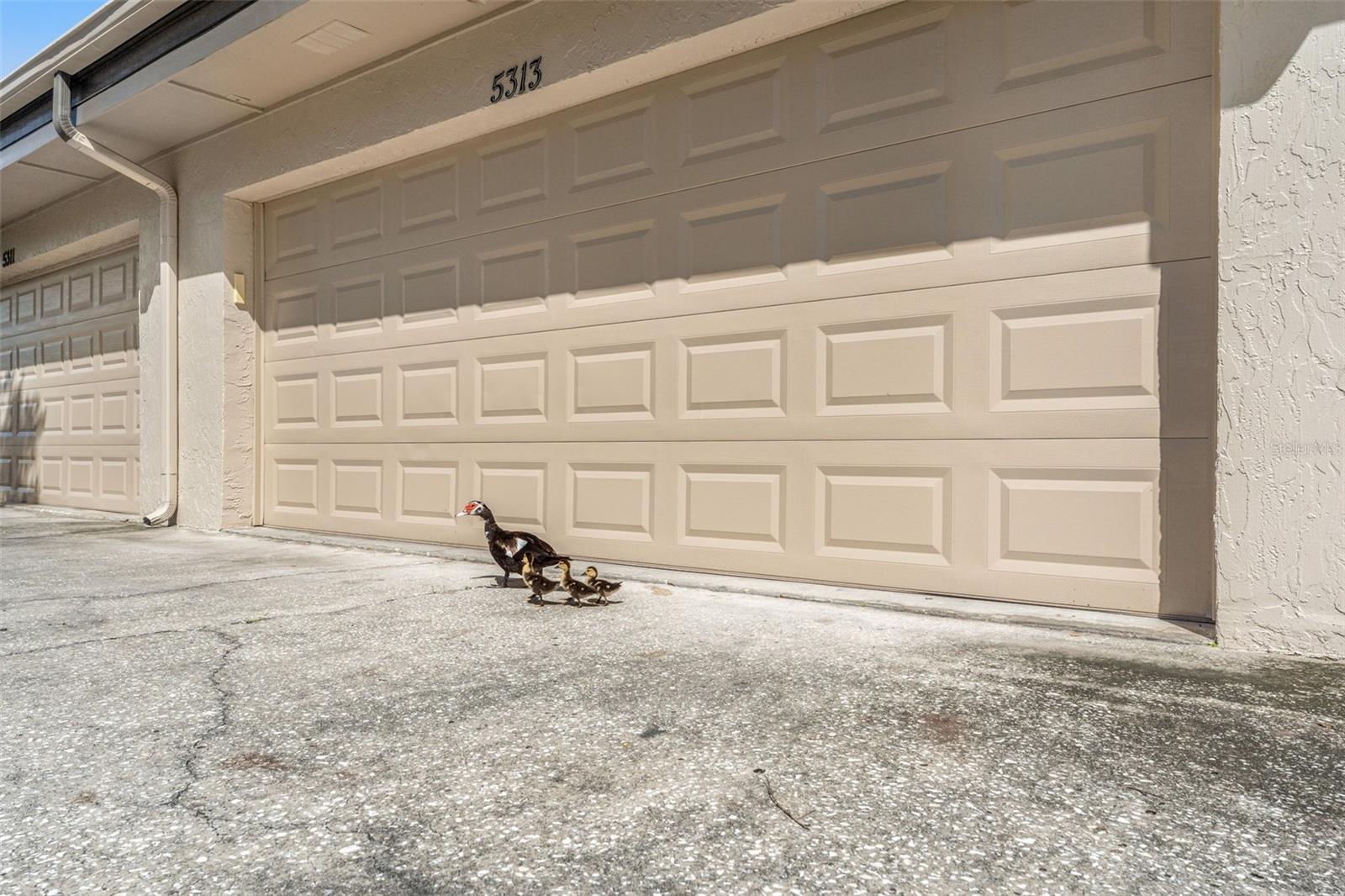 5313 BAYSHORE BLVD #5313, TAMPA, FL, 33611