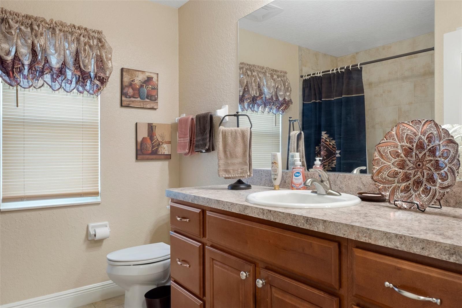 11358 LOMITA WREN RD, WEEKI WACHEE, FL, 34614