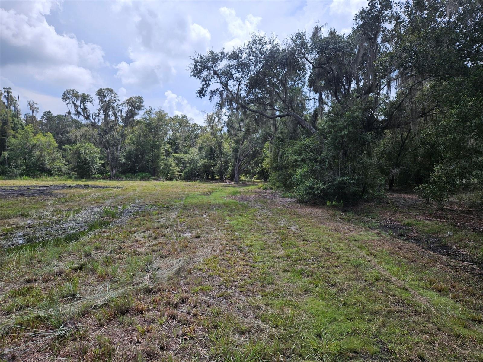 CANDIS RD., PLANT CITY, FL, 33565