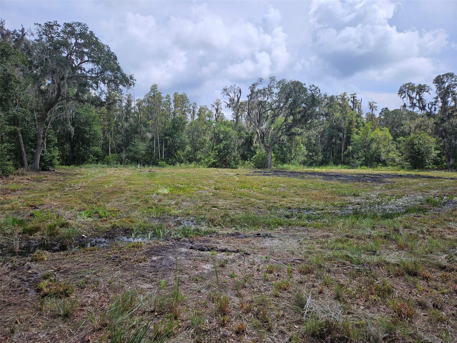 CANDIS RD., PLANT CITY, FL, 33565