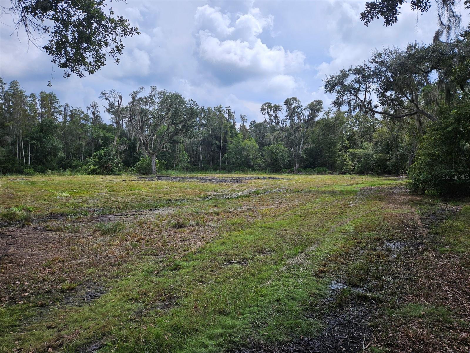 CANDIS RD., PLANT CITY, FL, 33565