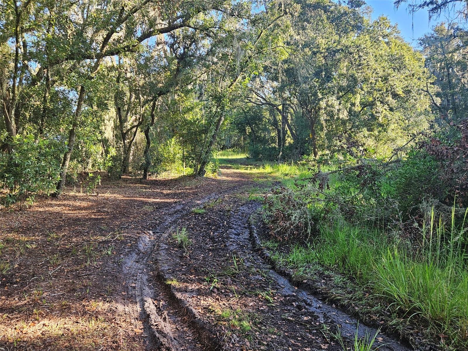 CANDIS RD., PLANT CITY, FL, 33565