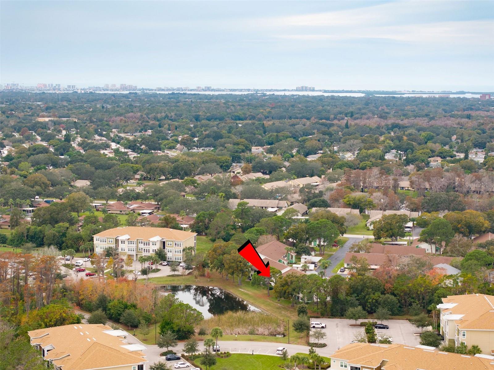 2525 ROYAL PINES CIR #26H, CLEARWATER, FL, 33763