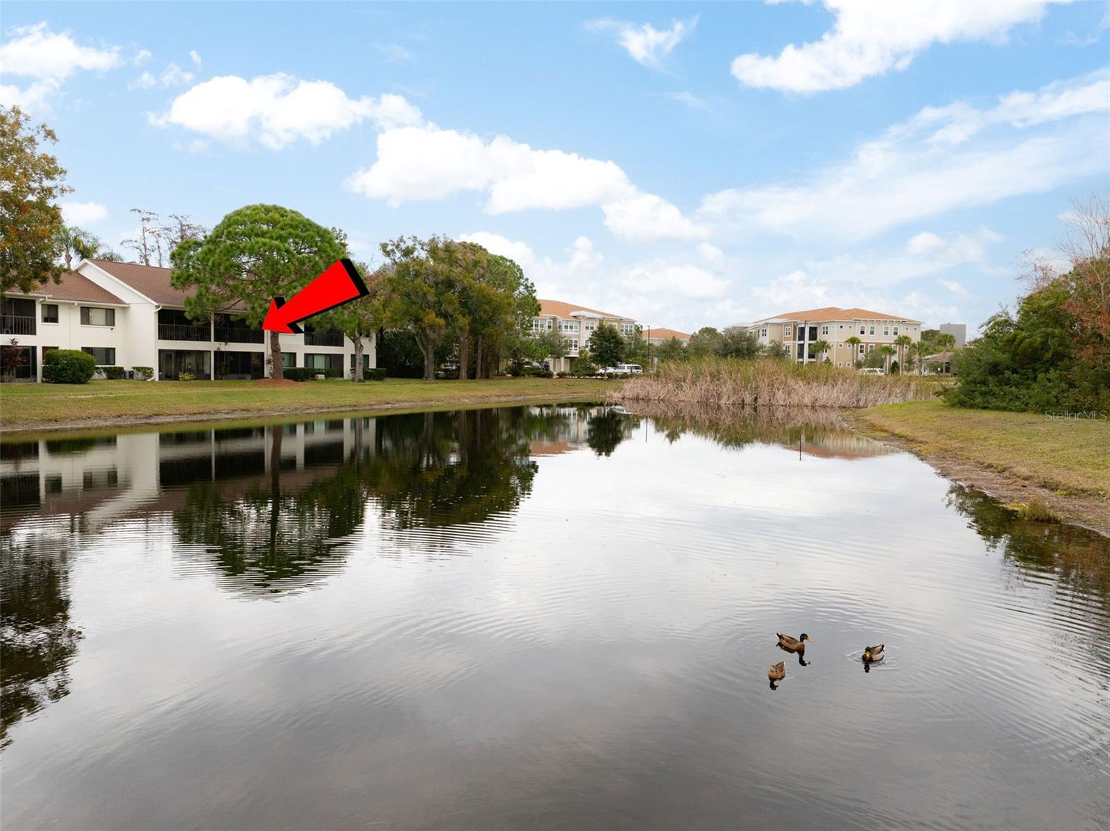 2525 ROYAL PINES CIR #26H, CLEARWATER, FL, 33763