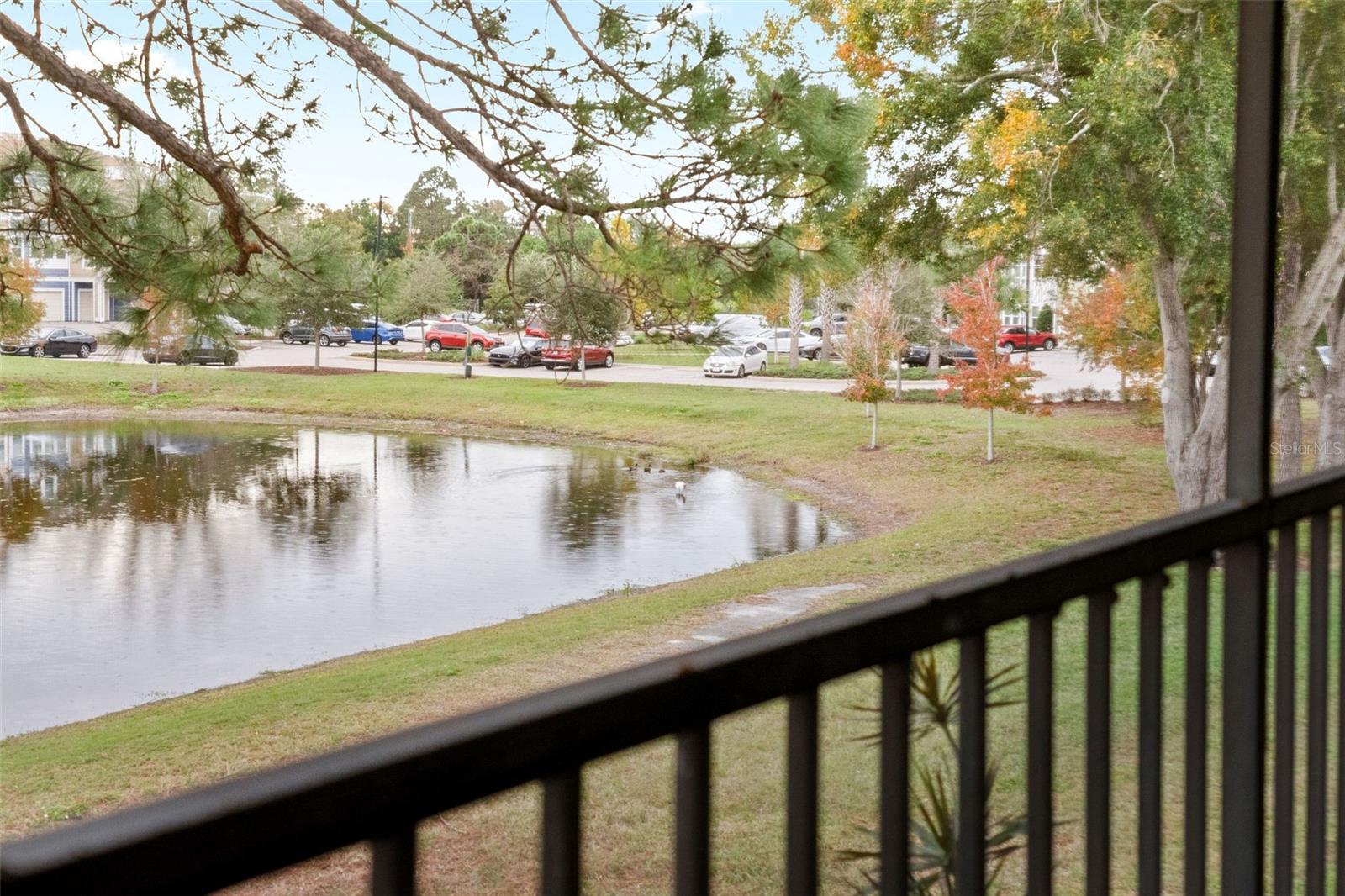 2525 ROYAL PINES CIR #26H, CLEARWATER, FL, 33763