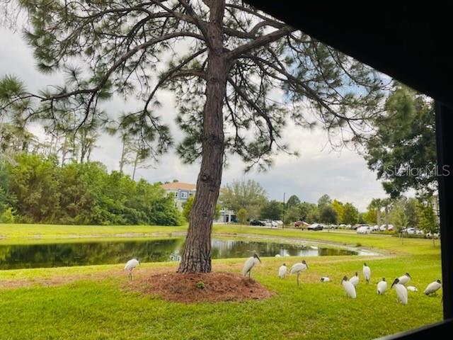 2525 ROYAL PINES CIR #26H, CLEARWATER, FL, 33763