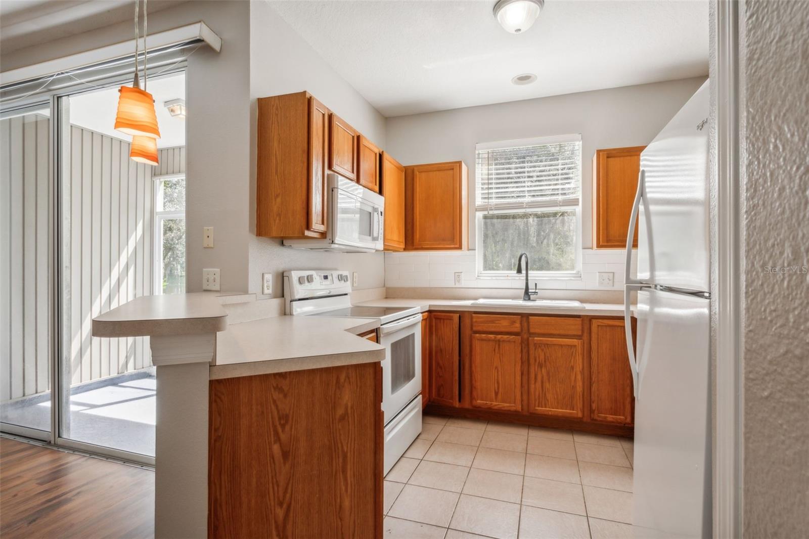 11045 BLACK SWAN CT, SEFFNER, FL, 33584