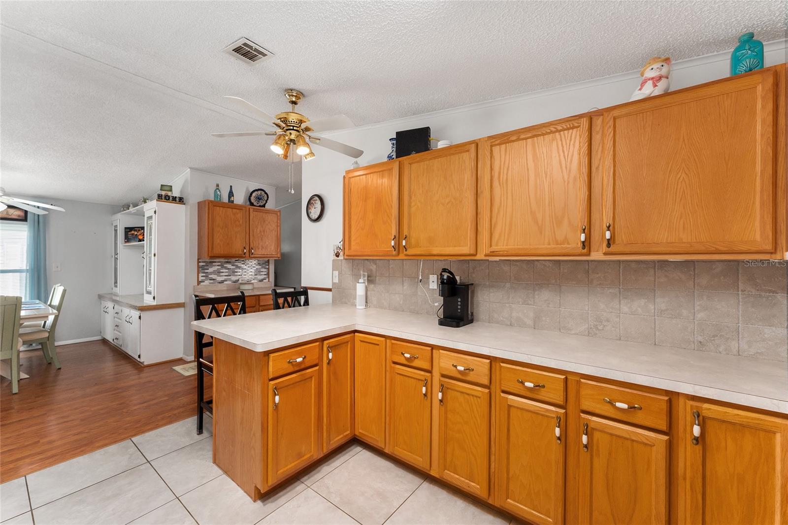 10930 ISAACS CT, LEESBURG, FL, 34788