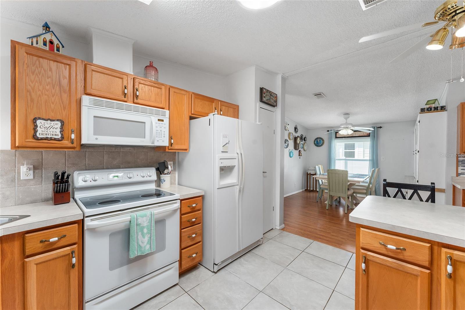 10930 ISAACS CT, LEESBURG, FL, 34788