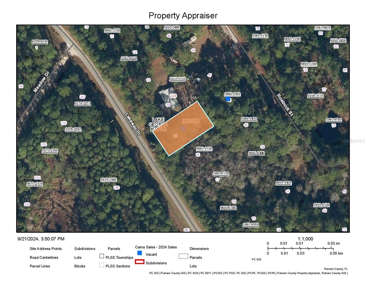 228 LAKEWAY DR, GEORGETOWN, FL, 32139