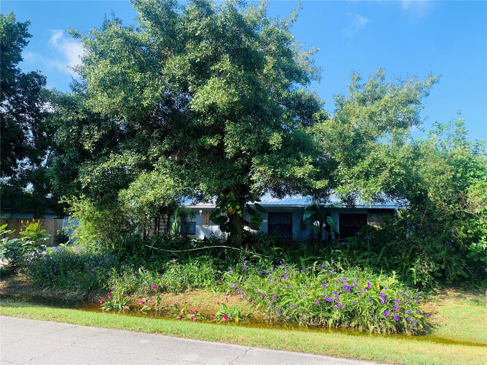3228 UNITY TREE DR, EDGEWATER, FL, 32141