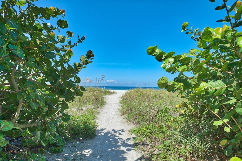 900 GULF BLVD #205, INDIAN ROCKS BEACH, FL, 33785