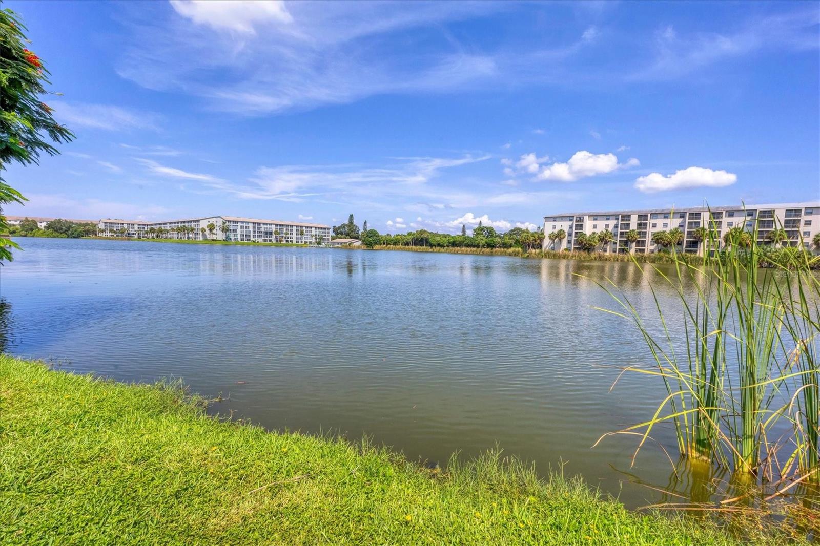 4093 LAKE BAYSHORE DR #315, BRADENTON, FL, 34205