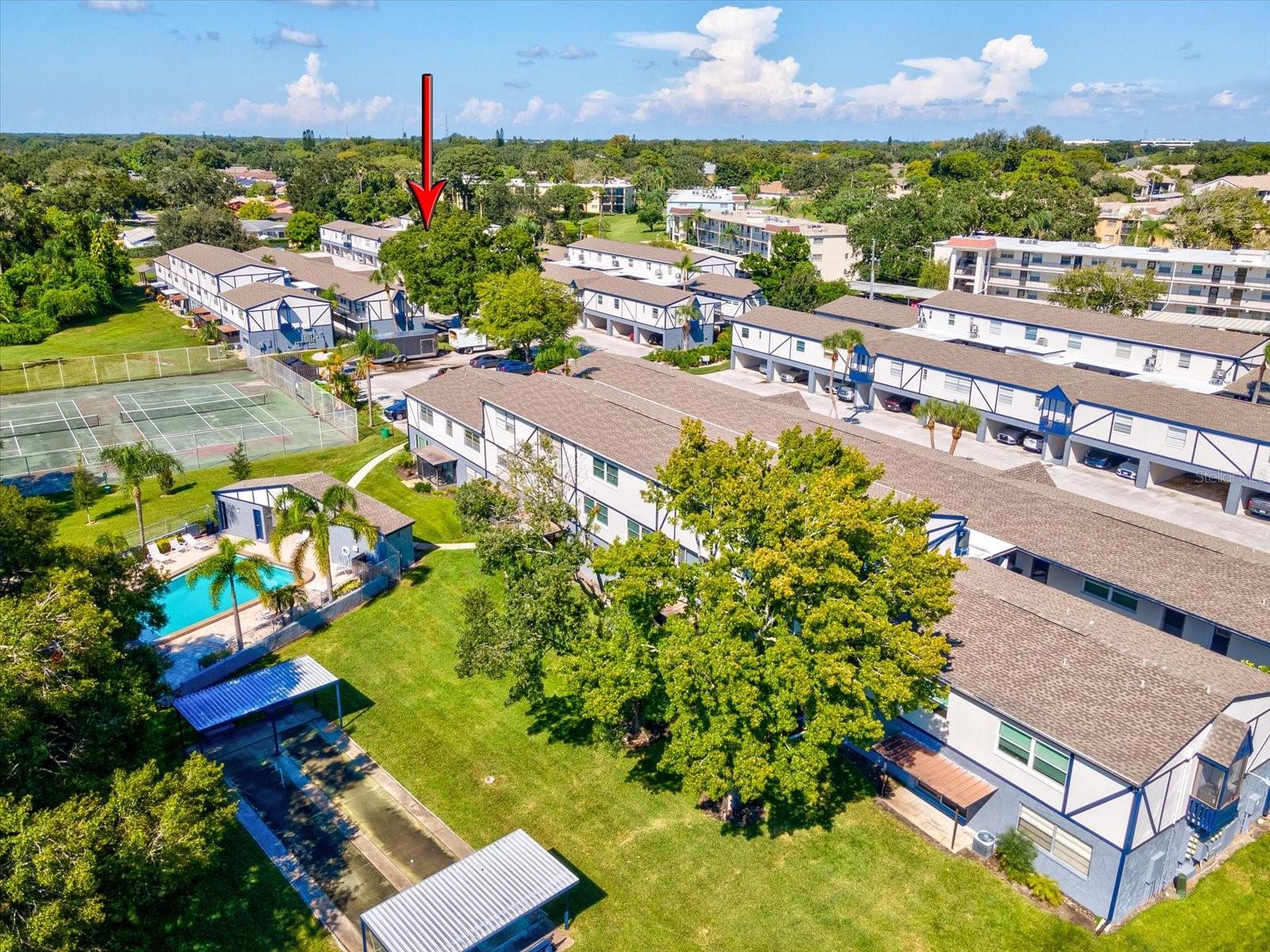 1127 KING ARTHUR CT #305, DUNEDIN, FL, 34698