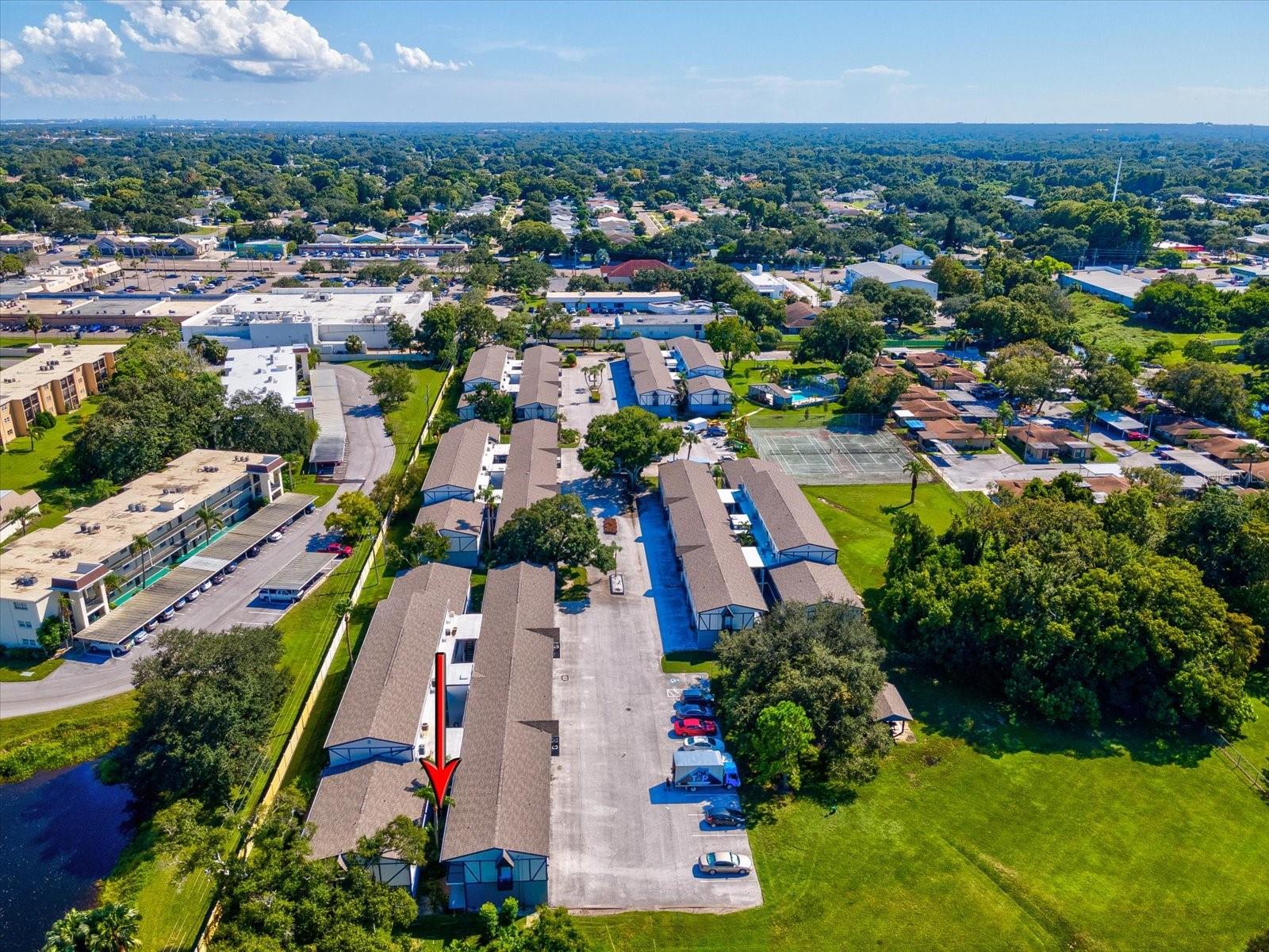 1127 KING ARTHUR CT #305, DUNEDIN, FL, 34698