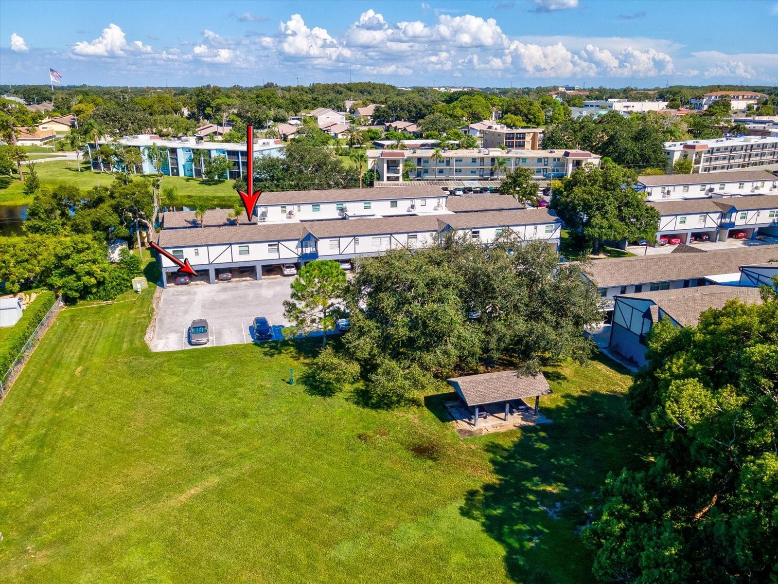 1127 KING ARTHUR CT #305, DUNEDIN, FL, 34698