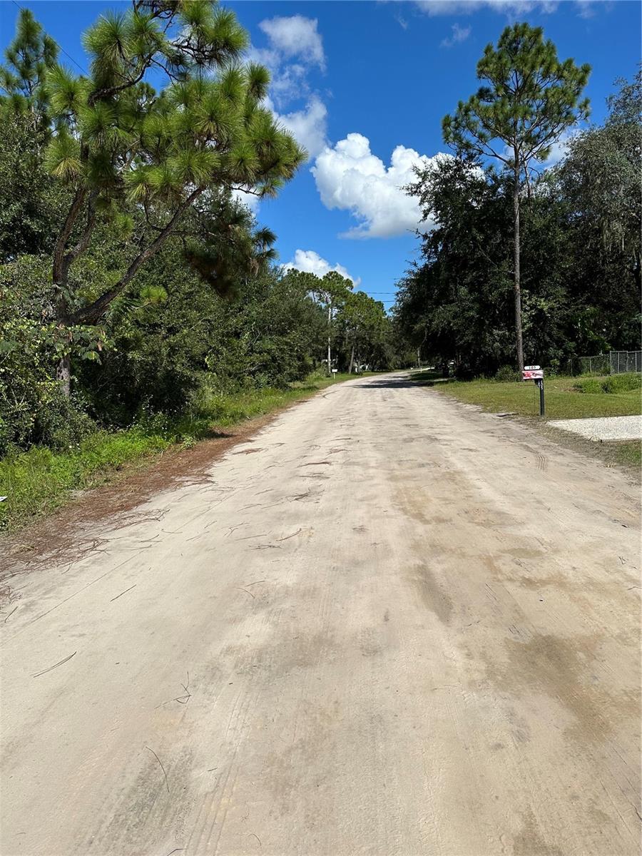 106 SUNLAND DR, SATSUMA, FL, 32189