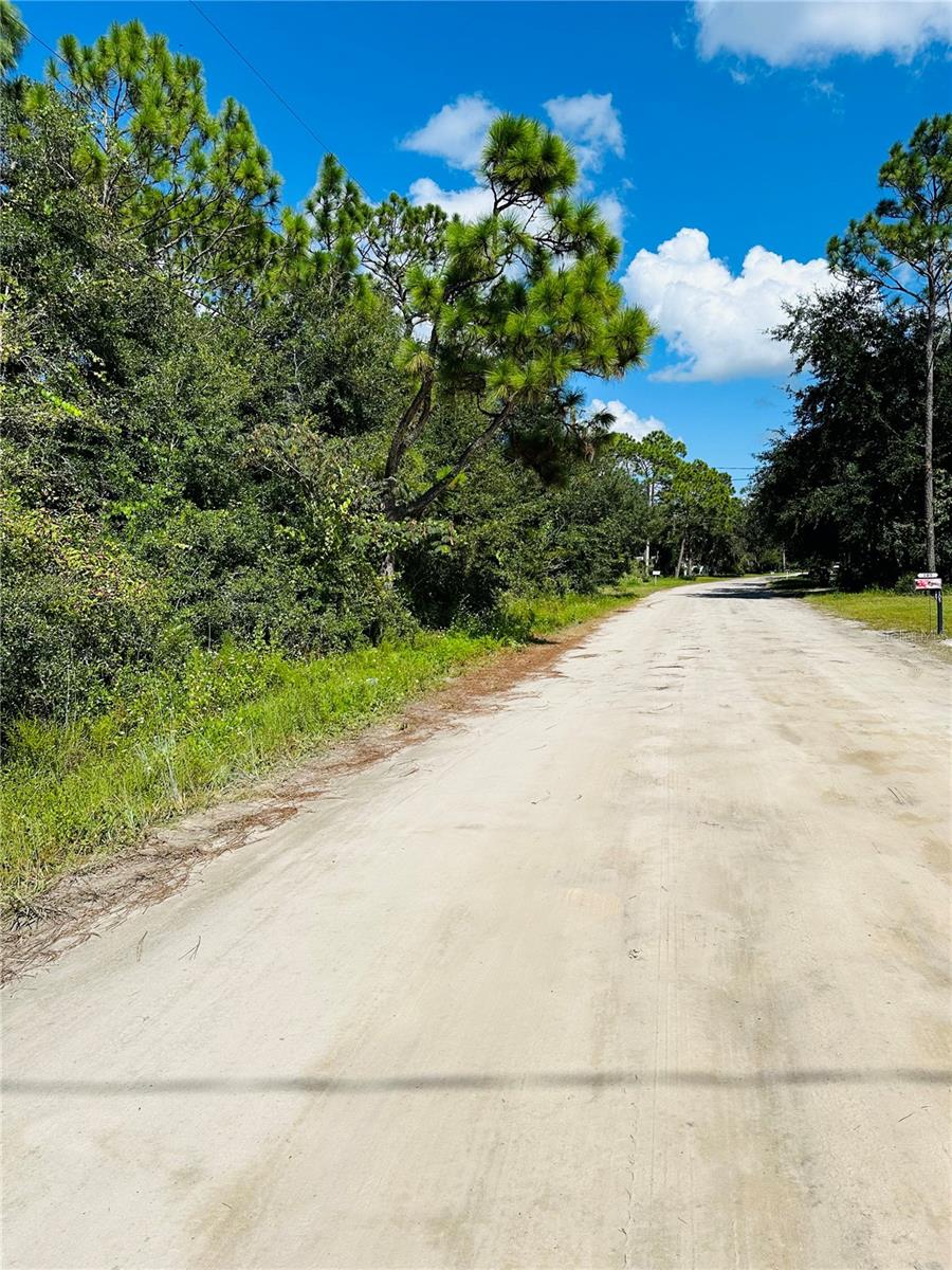 106 SUNLAND DR, SATSUMA, FL, 32189