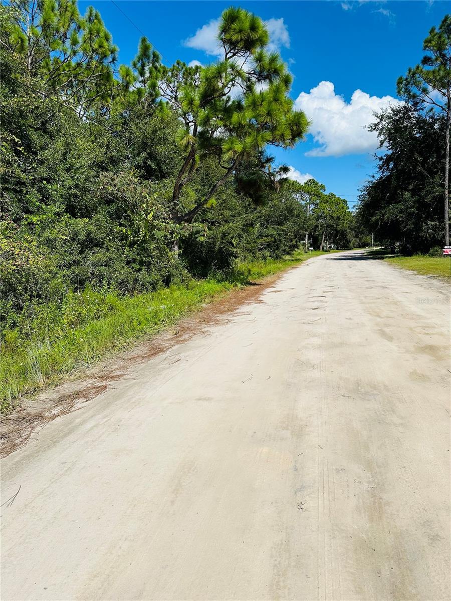 106 SUNLAND DR, SATSUMA, FL, 32189