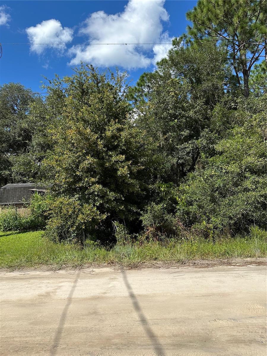 106 SUNLAND DR, SATSUMA, FL, 32189