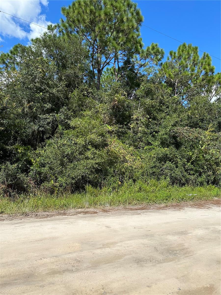 106 SUNLAND DR, SATSUMA, FL, 32189