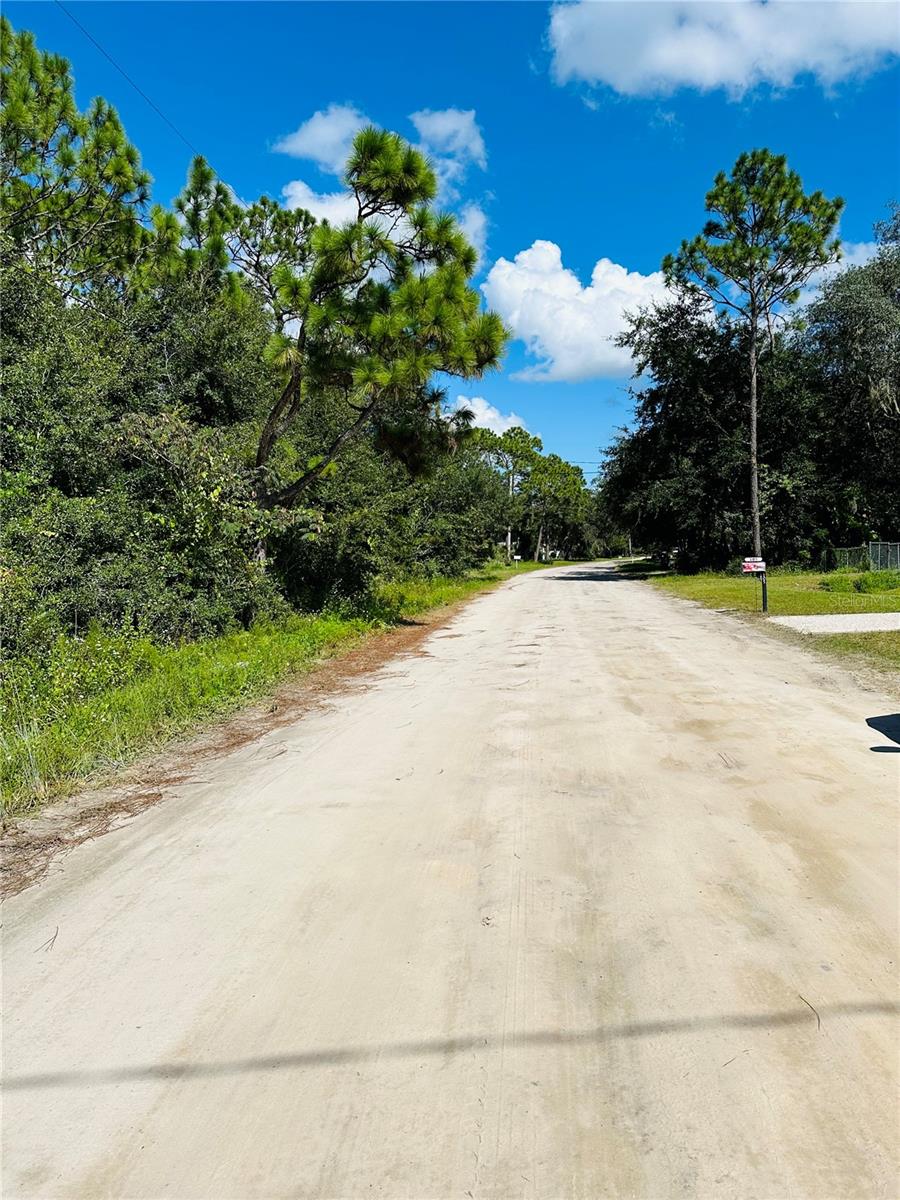 106 SUNLAND DR, SATSUMA, FL, 32189