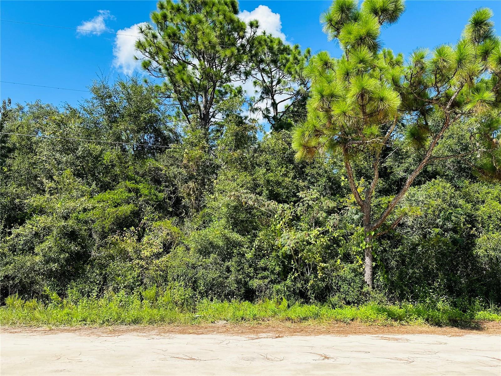 106 SUNLAND DR, SATSUMA, FL, 32189