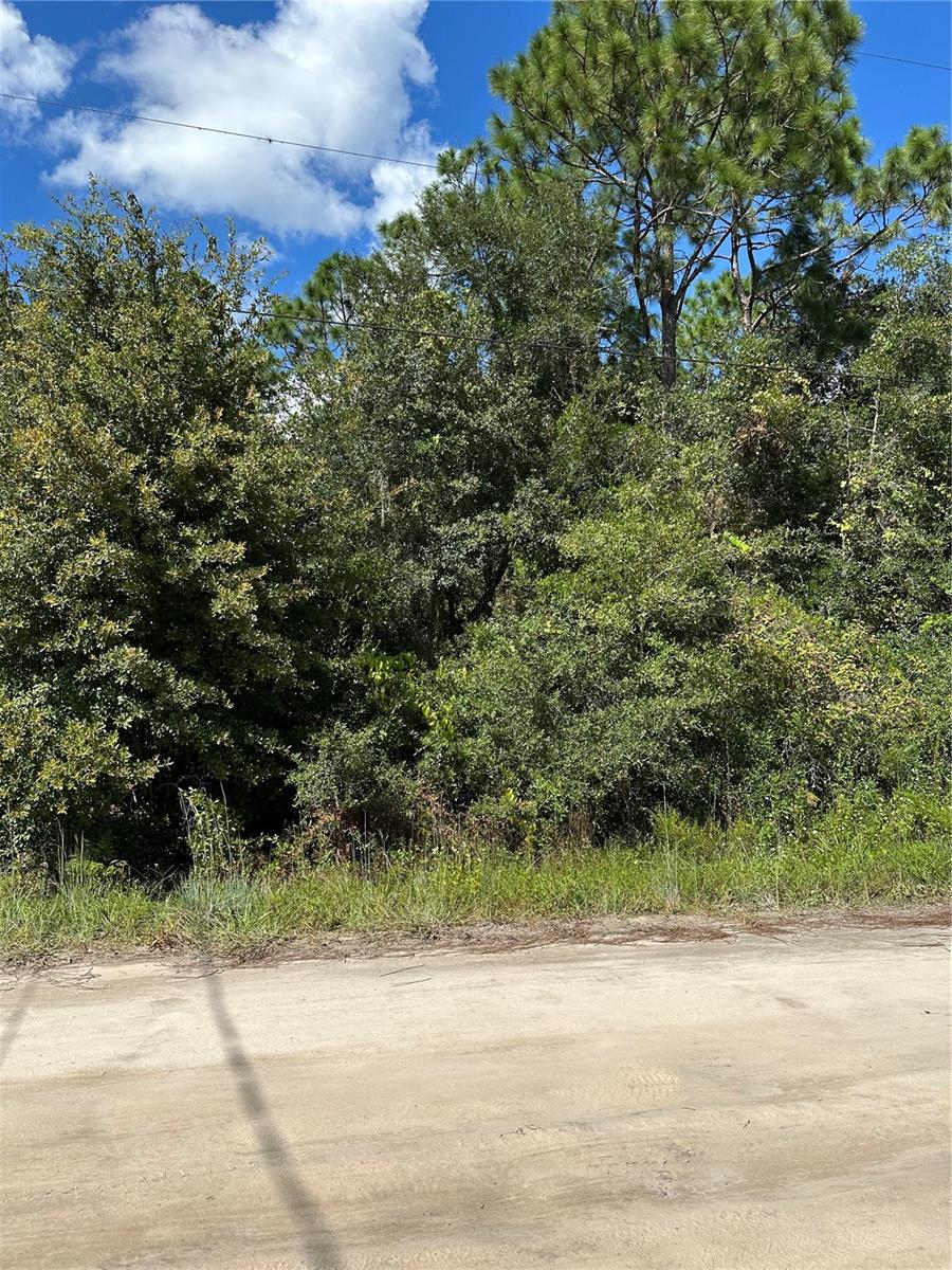 106 SUNLAND DR, SATSUMA, FL, 32189