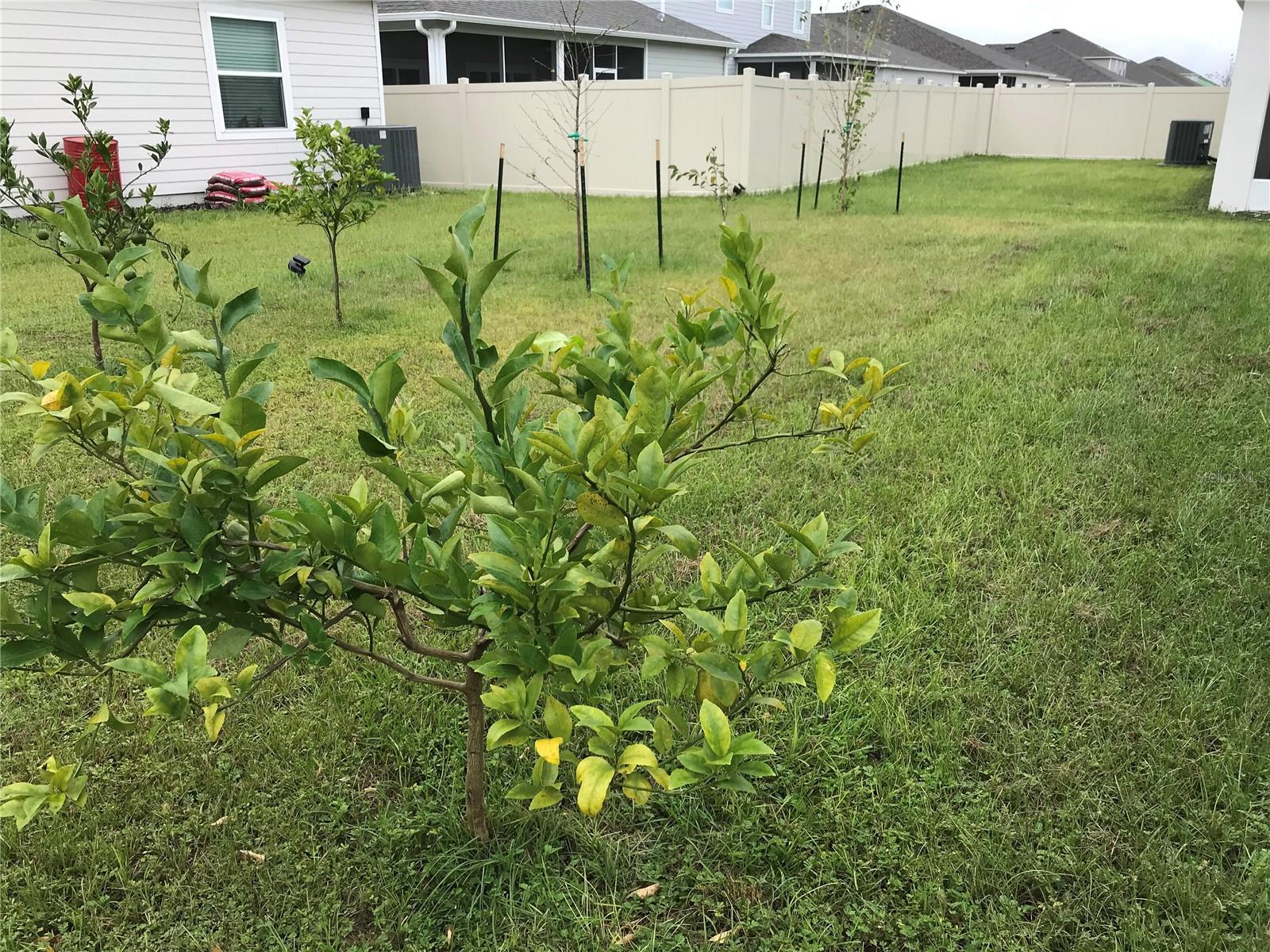 2245 NW 248TH WAY, NEWBERRY, FL, 32669