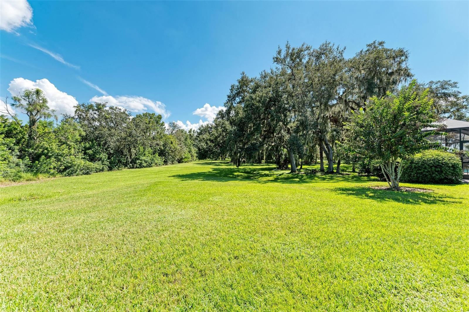 11770 HIDDEN FOREST LOOP, PARRISH, FL, 34219