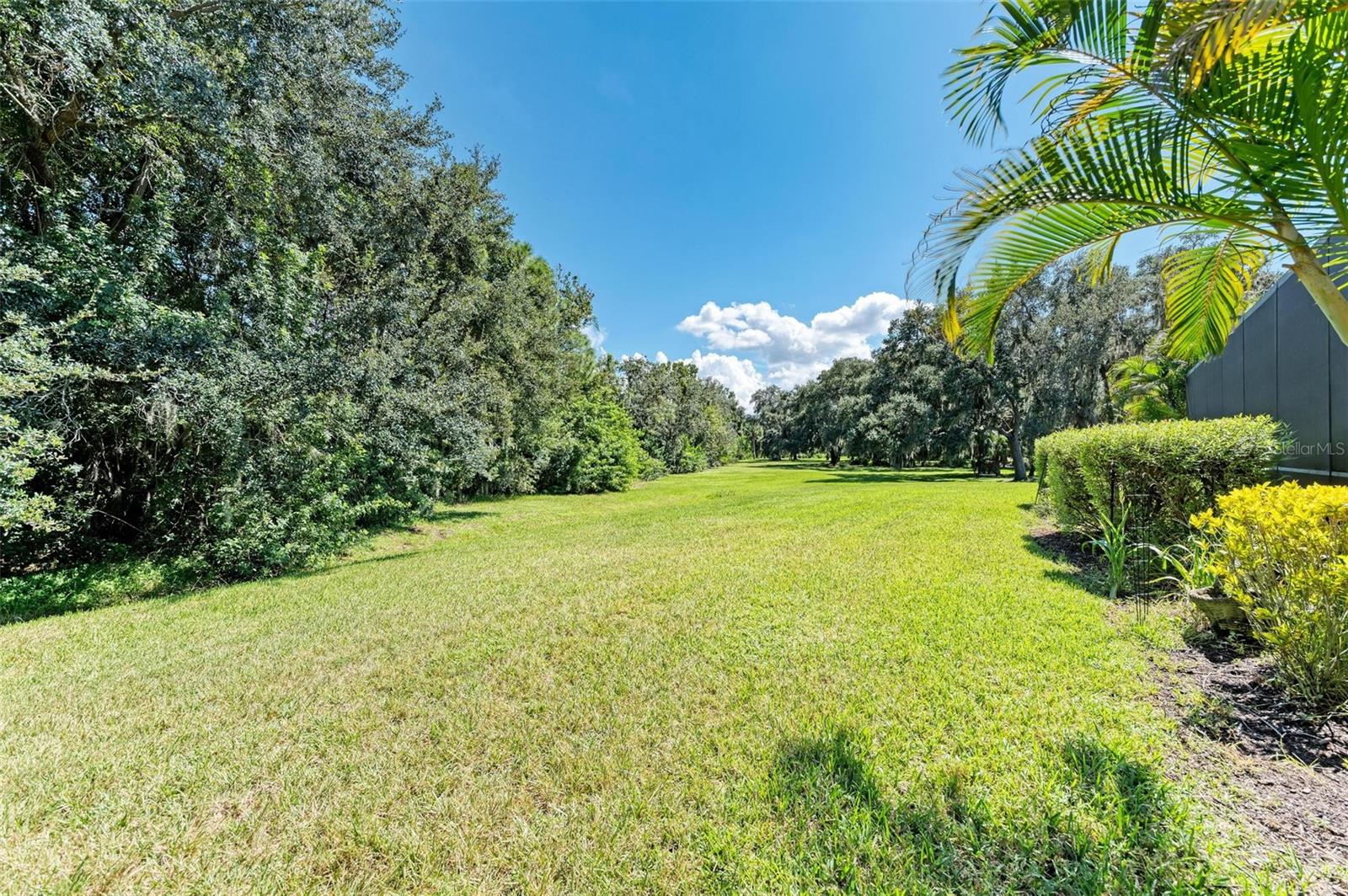 11770 HIDDEN FOREST LOOP, PARRISH, FL, 34219