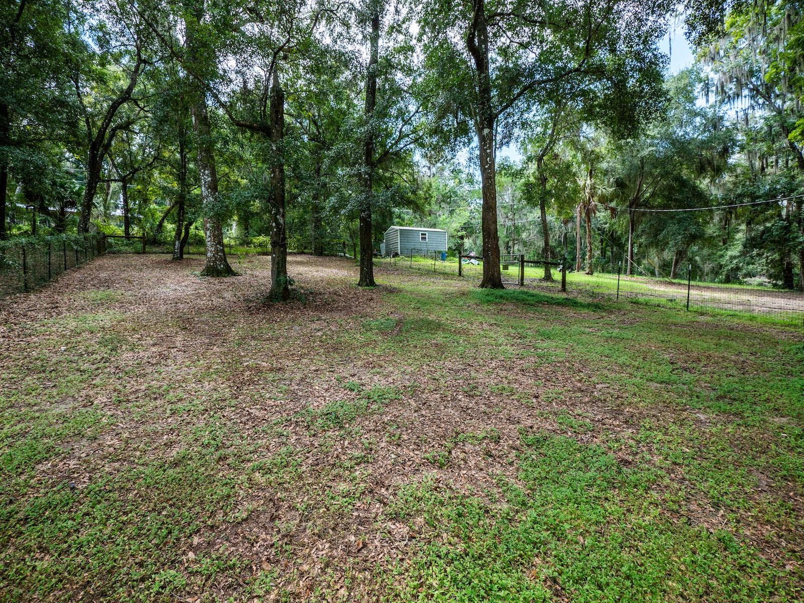 24750 NE 177TH TER, FORT MC COY, FL, 32134