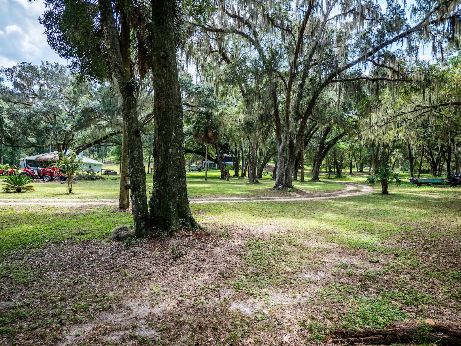 24750 NE 177TH TER, FORT MC COY, FL, 32134