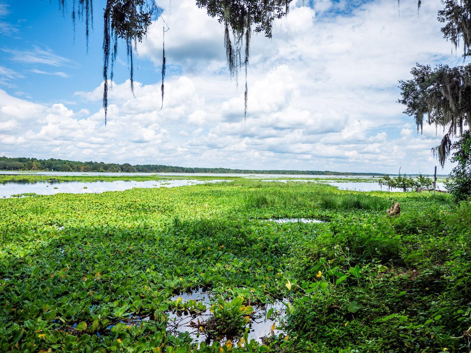 24750 NE 177TH TER, FORT MC COY, FL, 32134